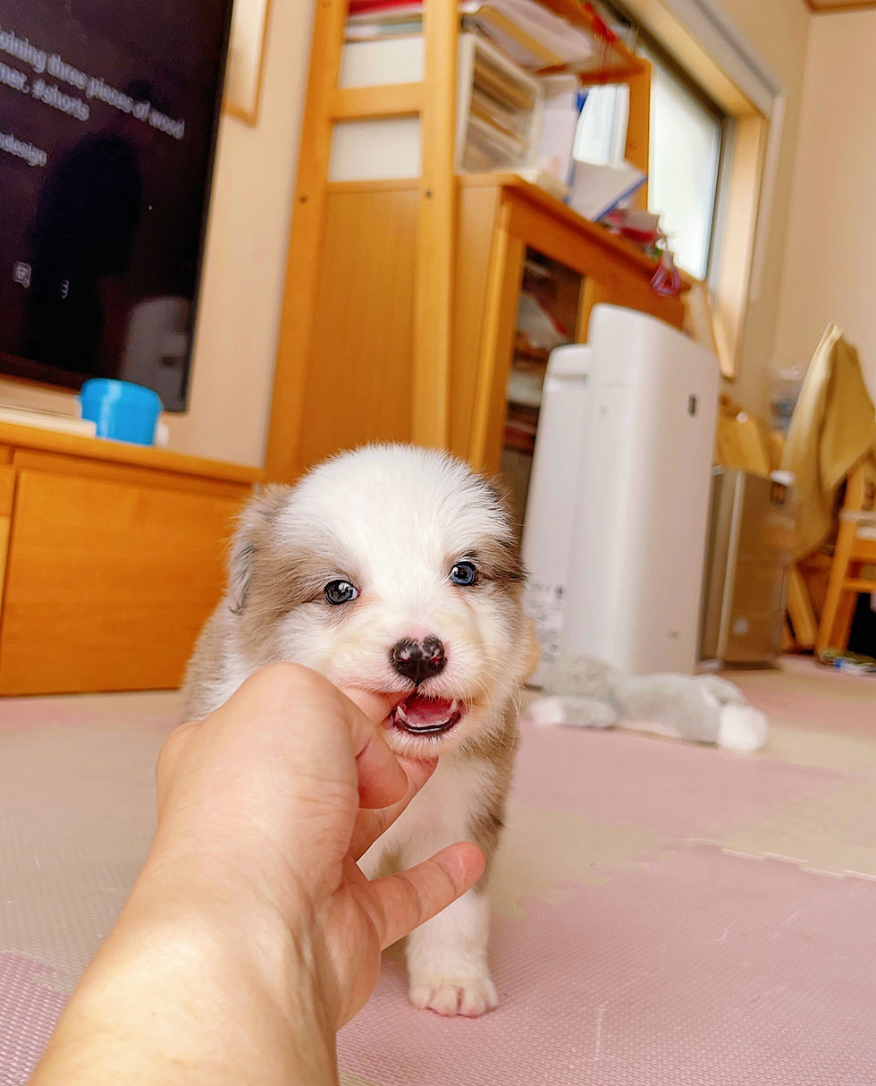 足向き良いですよ〜