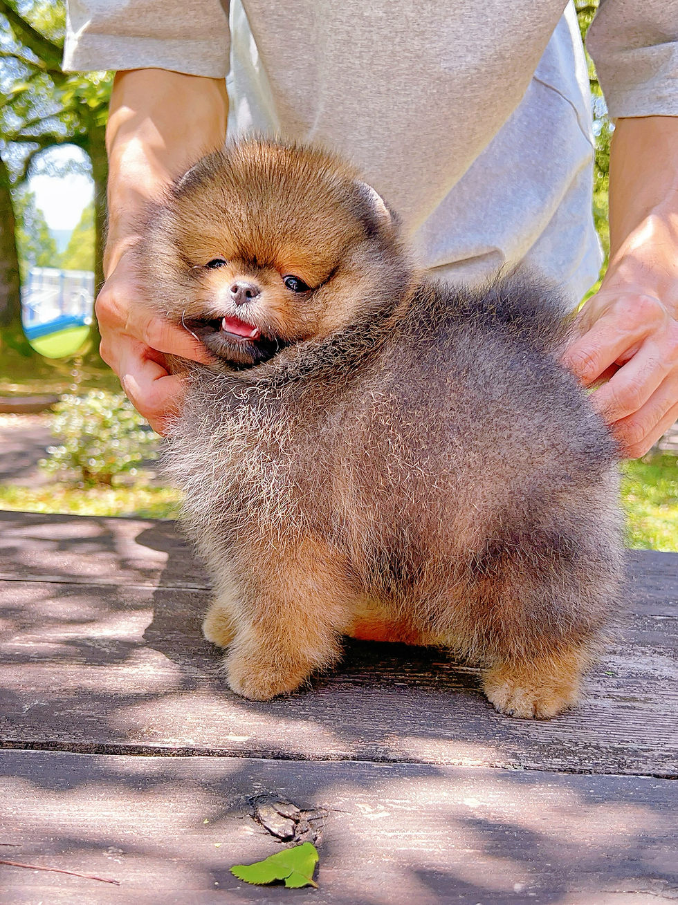 体短いですよ〜