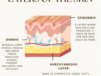 Layers of Tissue Targeted by T-Shape 2 Technology and Its Frequencies