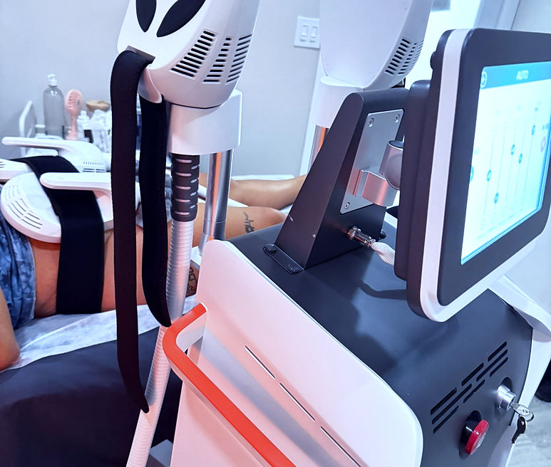 Body Sculpting Rena Sculpt_edited.jpg