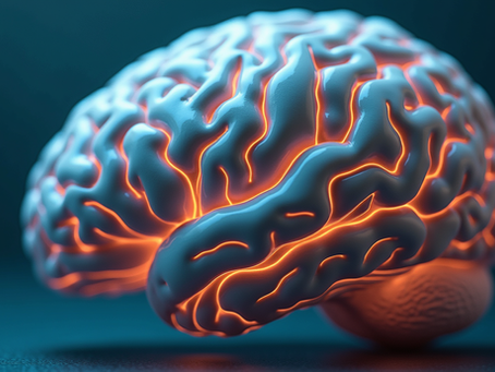 Neuroplasticity and Its Impact on Our Thoughts and Personal Growth