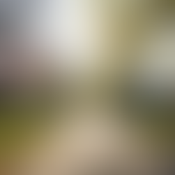 Mastering the Michigan Real Estate Market Effective Strategies for Finding Investment Properties