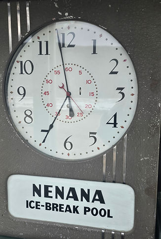 1000049353.jpg