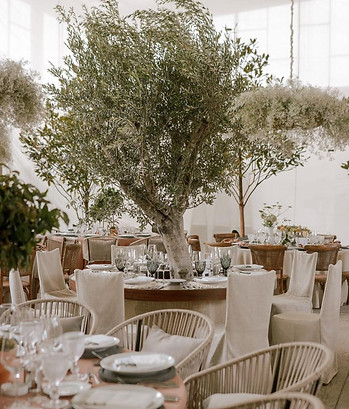 WhatsApp Image 2025-07-03 at 01.53.35 (6).jpeg