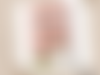 Book Review // “That Summer” by Jennifer Weiner