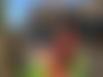 Personal Branding Portrait Series || Staying true to yourself with Lindsay