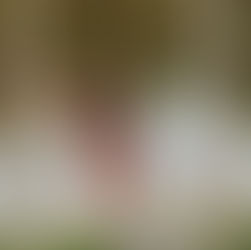 Spring Time in the Fall | Katharine 