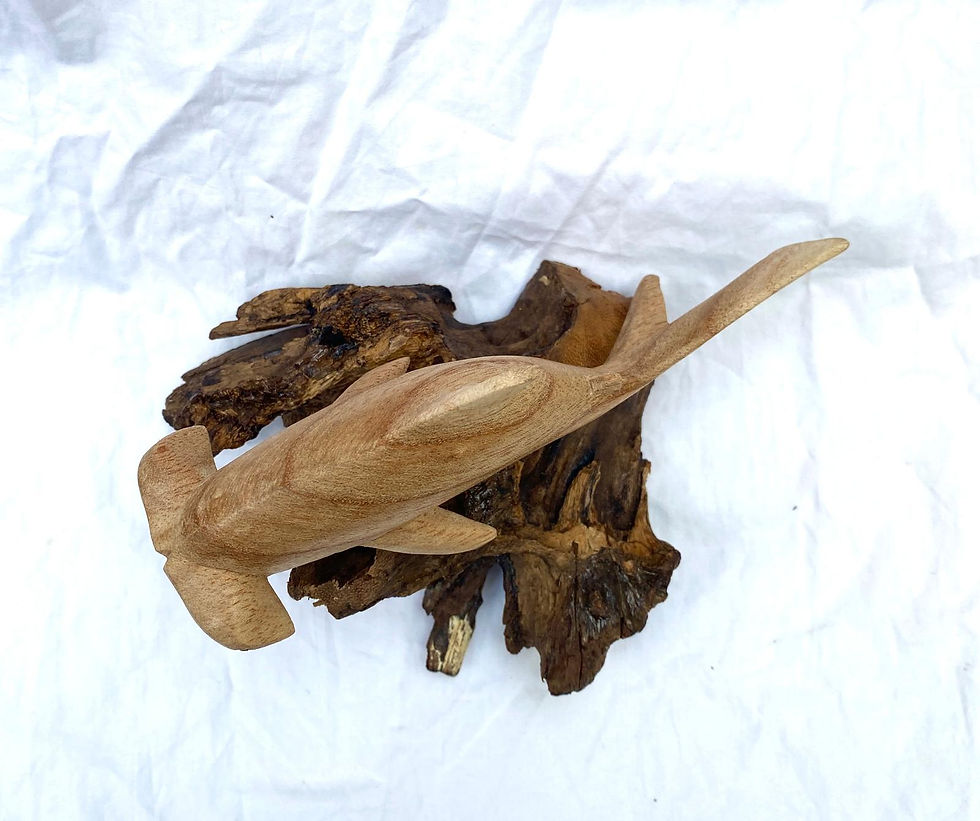 Thumbnail: Hammerhead Shark