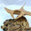 Miniaturbild: Manta