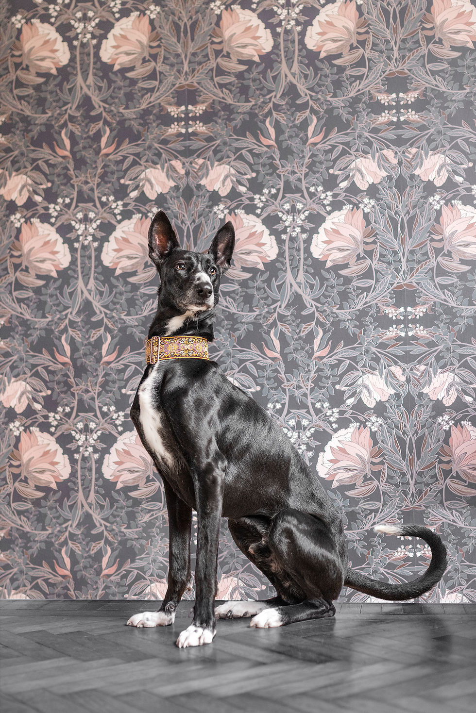 Neve et Ramos 07 ¨¨ B.jpg