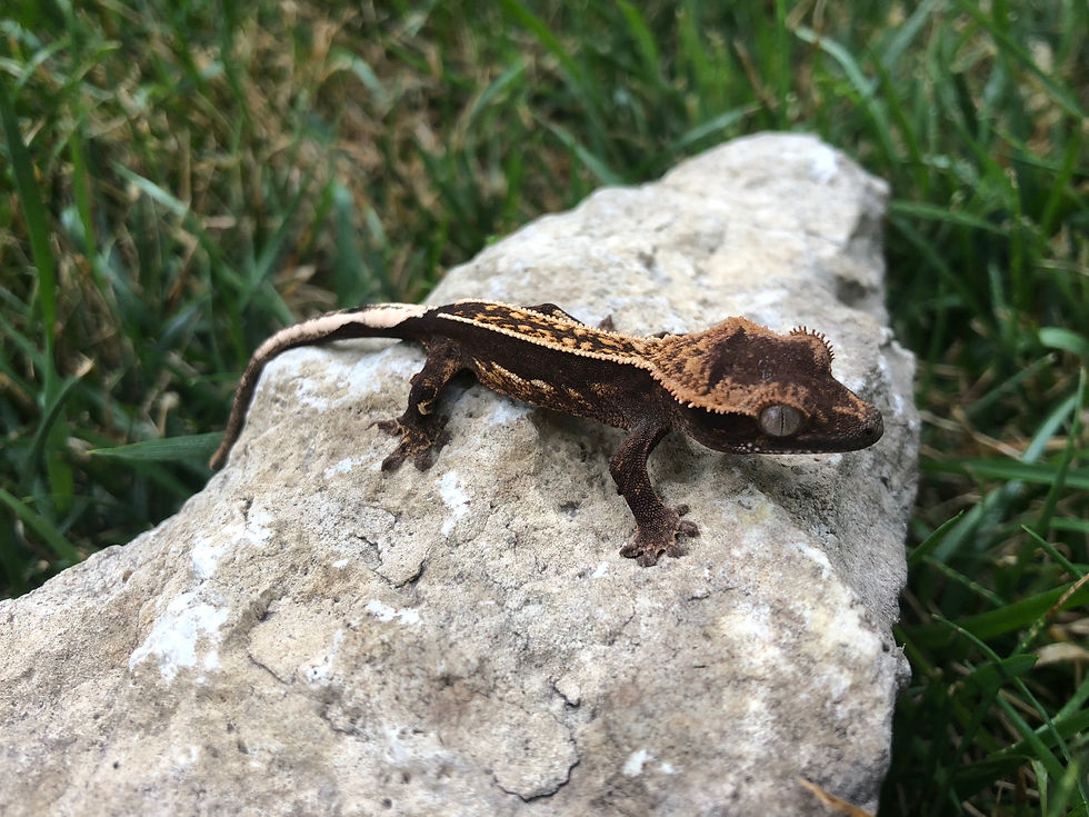 OS-18-7 - ON HOLD ER