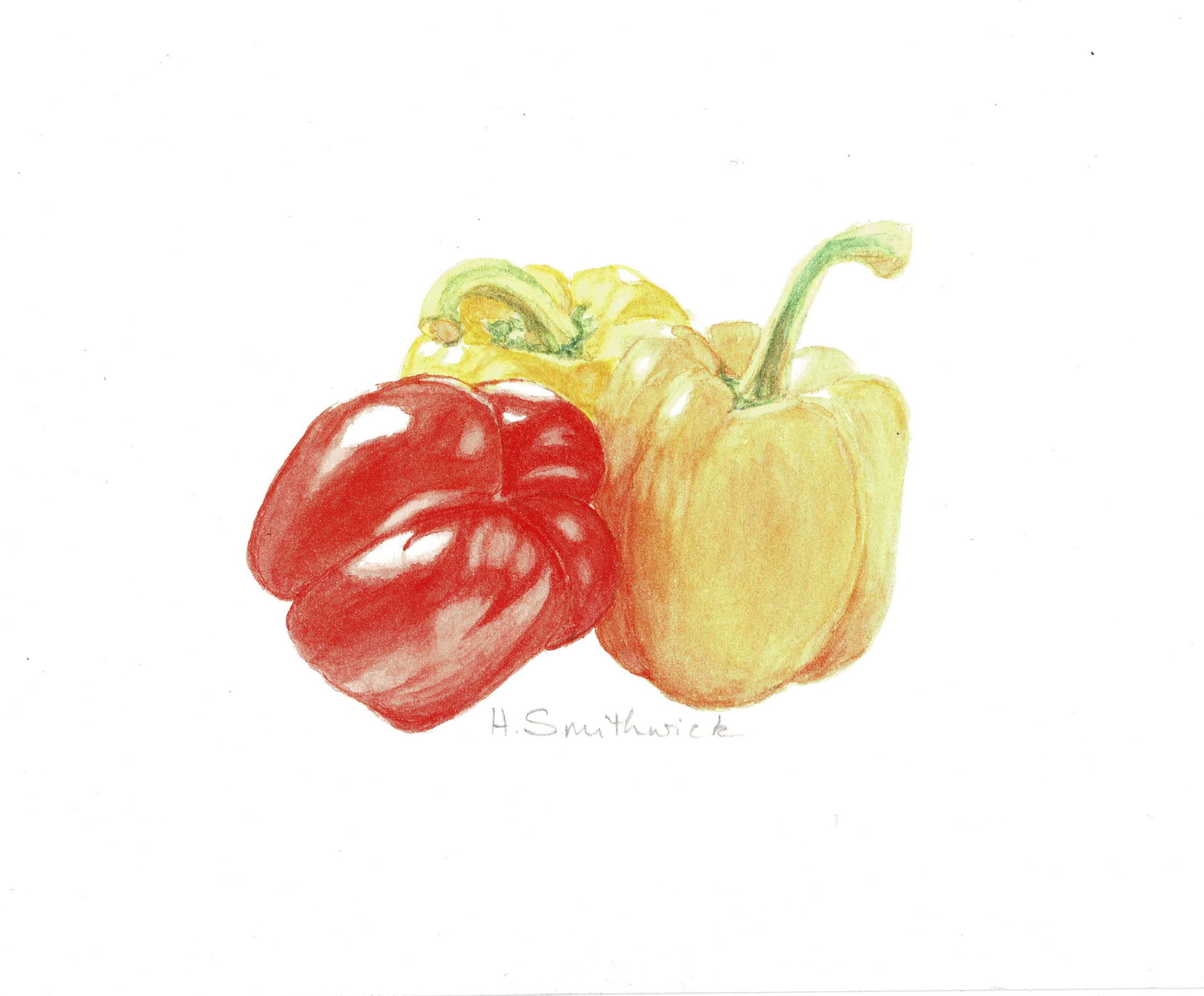 Red and Yellow Peppers