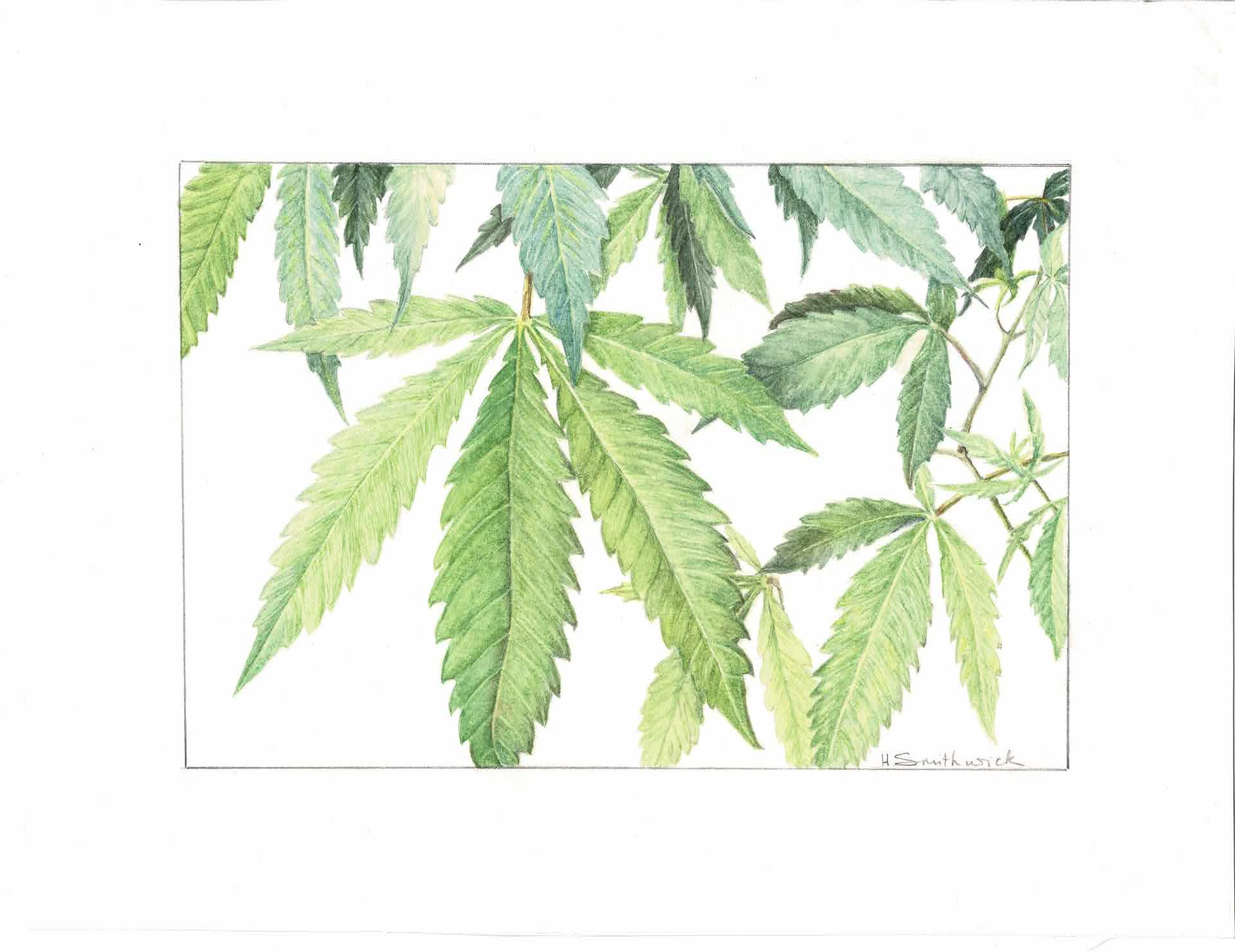 Original: High in the Mountains