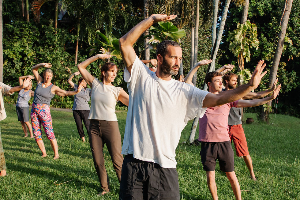 4-Week Qigong Course for Beginners & Beyond