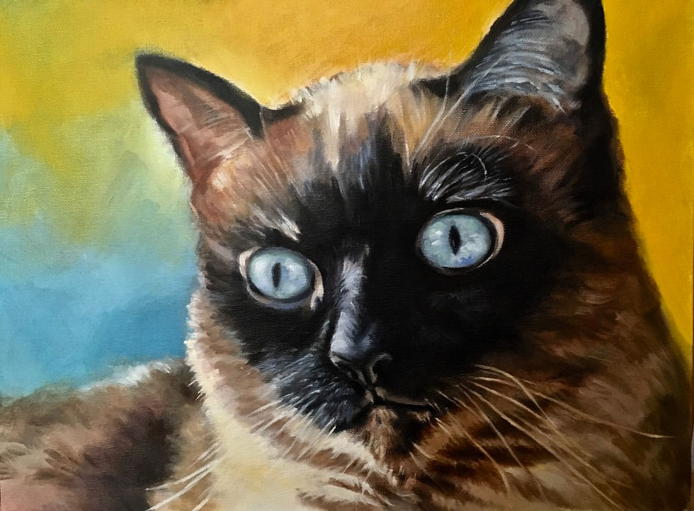 la gata de Marcela