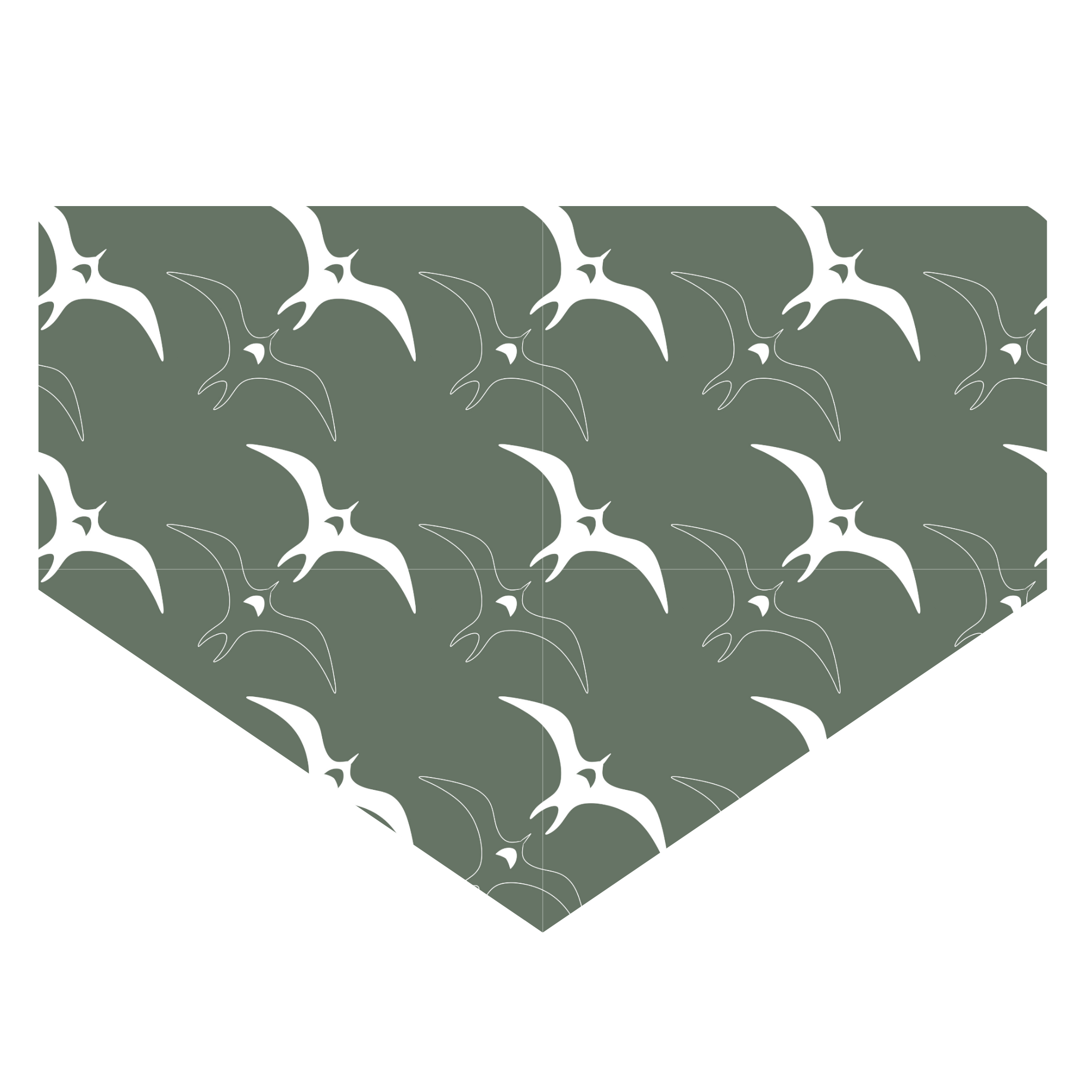 Iwa Bird