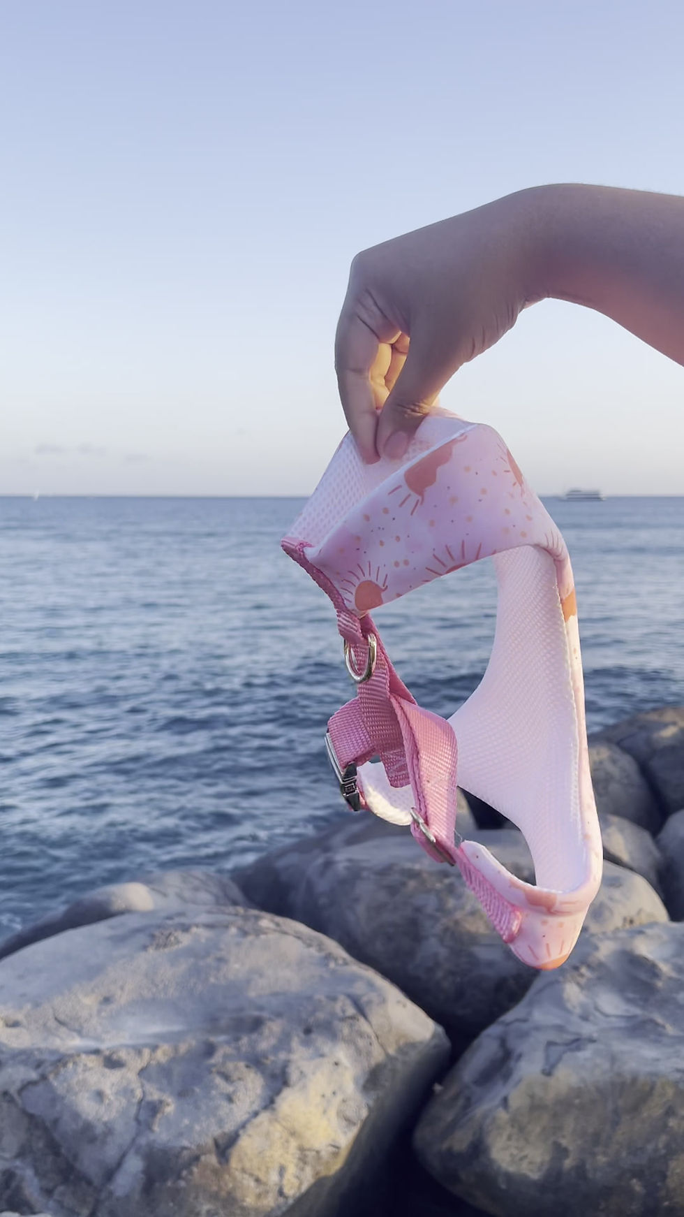 Thumbnail: Sunny Day Harness