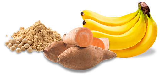 Copia de Sin título-8.png