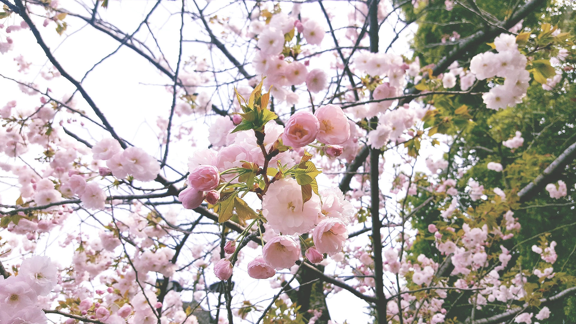 20180411_143101