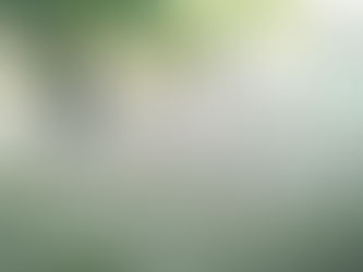 Asteegs solidify football reign with championship win over Reapers to seal fifth straight crown