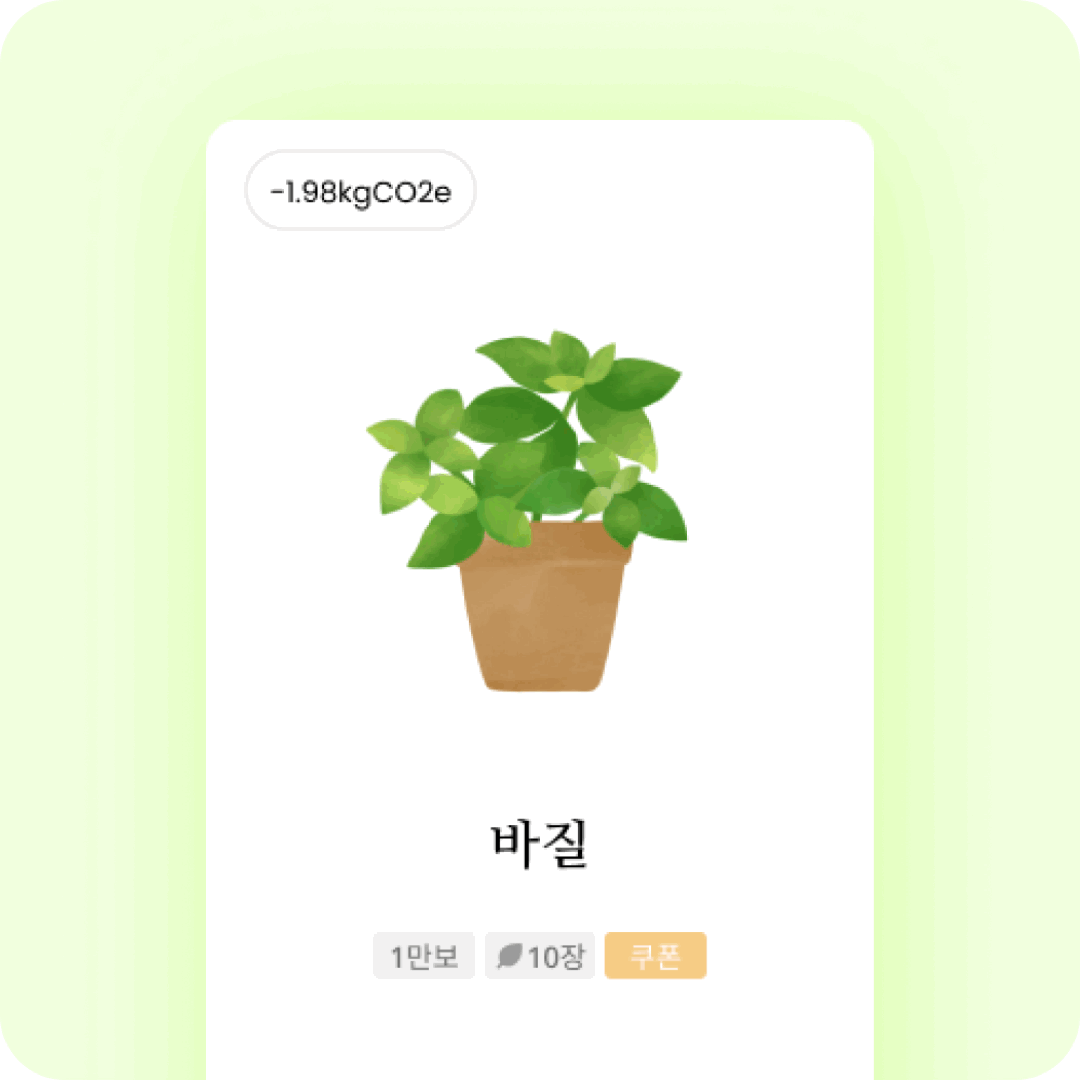 식물.gif