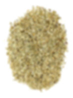 Yerba Mate premium wellness loose leaf tea by Tea of Teas – organically sourced Ilex paraguariensis leaves for clean energy