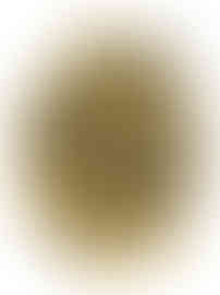 Sleep Support Tea premium calming herbal wellness loose leaf tea by Tea of Teas – organically sourced blend of chamomile