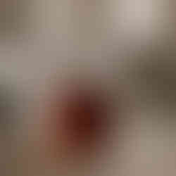 Oolong Rose premium floral oolong wellness loose leaf tea by Tea of Teas – organically sourced Se Chung Special Oolong rose