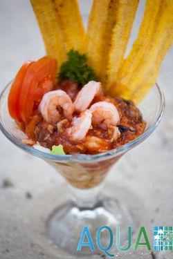 _MG_7868-49-1200-450-80-c-wm-right_bottom-100-logopng