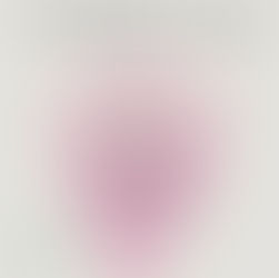 $600 raised for Safe + Equal!