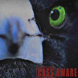 CASS AWARE drops new single 'GREEN'