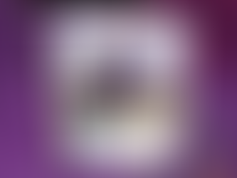 DIEZ RUESGA SL NUEVO PATROCINADOR