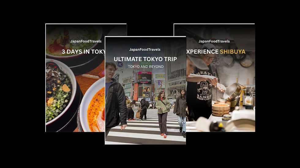 Guidebook preview