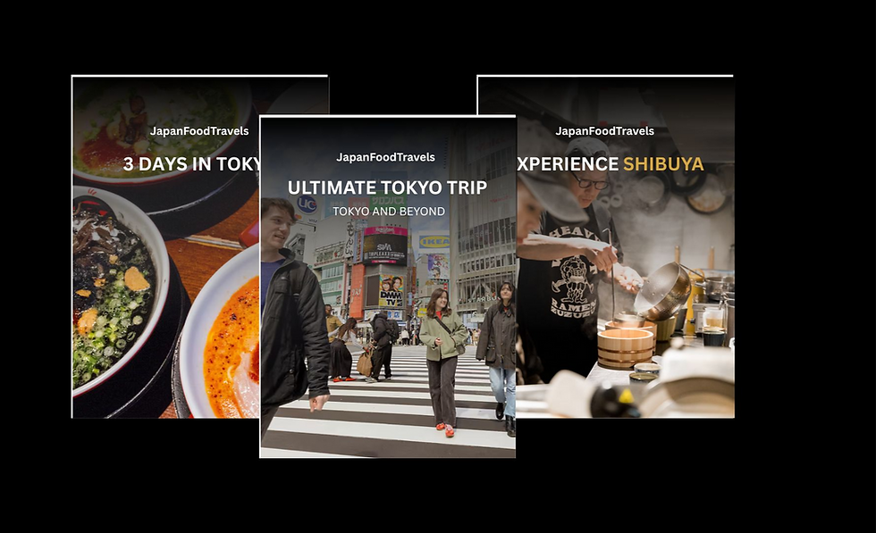 Guidebook preview