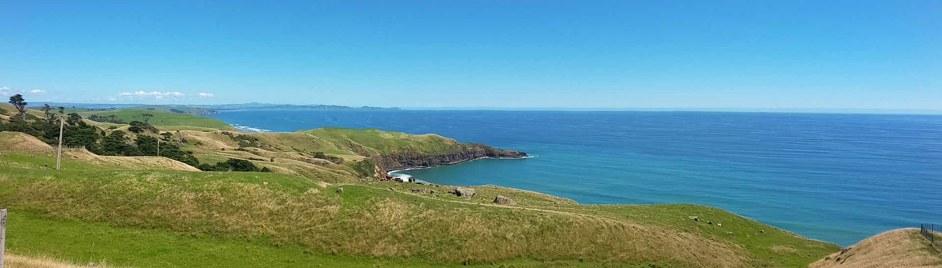 Panoramic - Raglan