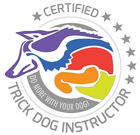 Trick training instructor