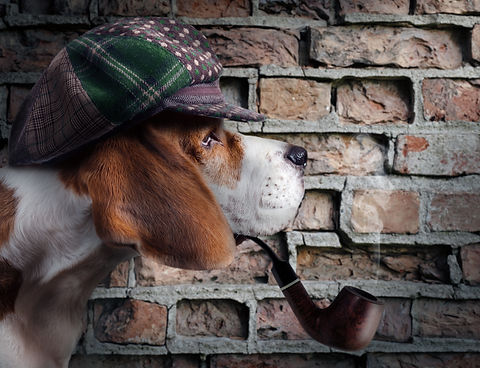 sherlock bones.jpeg