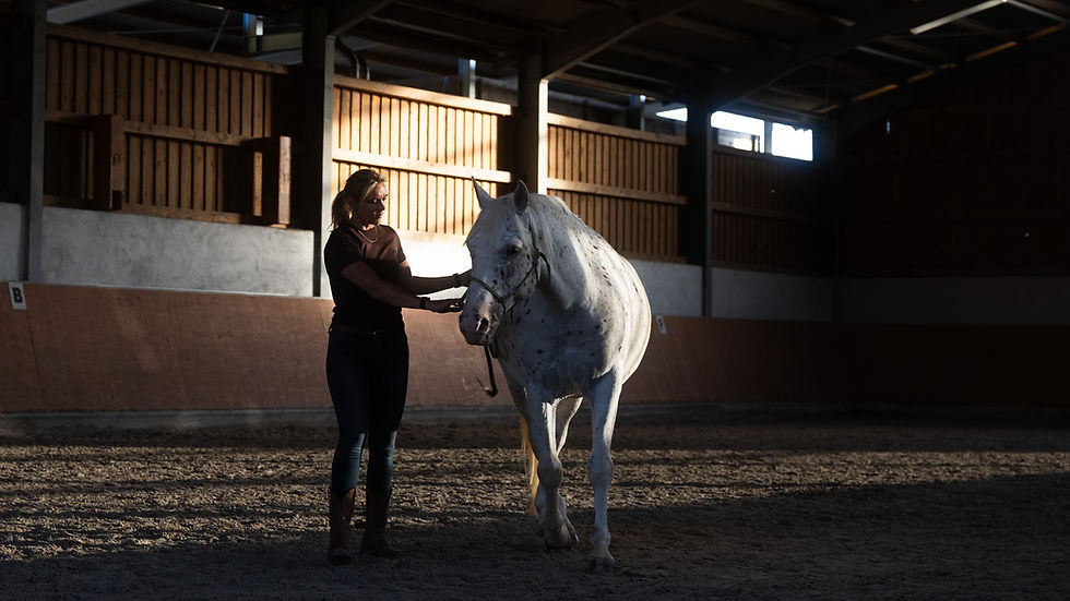 Shooting_Dominique_mit_Pferd_clean_0010.jpg
