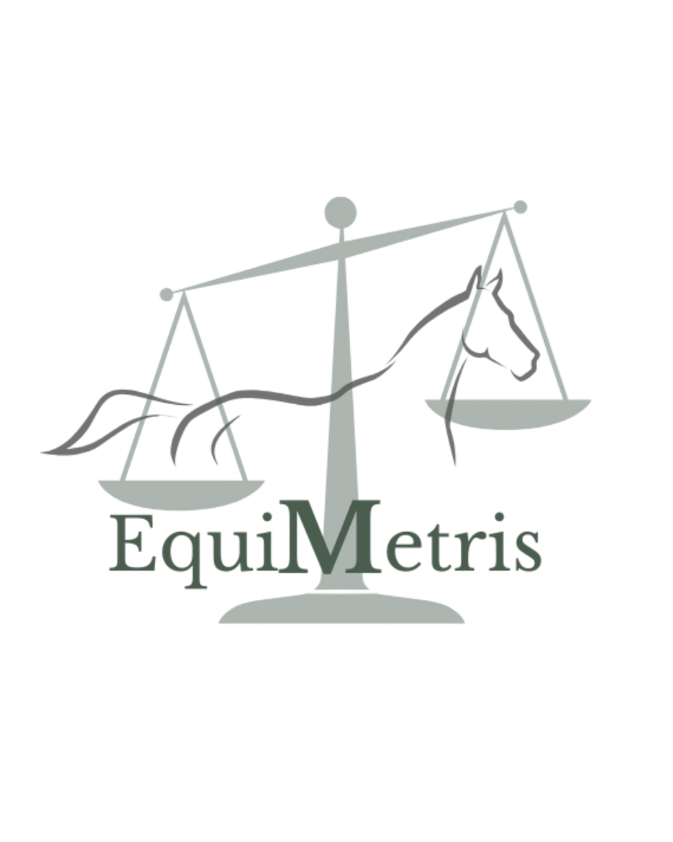 Logo Website transparent.png