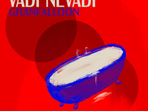 Vadí Nevadí out now