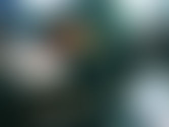 Lysistrata - New single PREMIERE