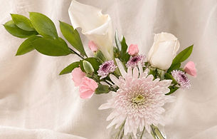 IMG_7542_edited.jpg