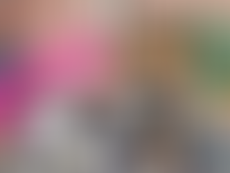 Ariana Grande to tour Habbo this Summer