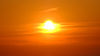 silhouette-trees-with-sea-reflecting-sun-orange-sky.jpg