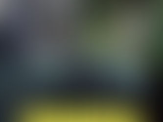 MEMORIA メモリア