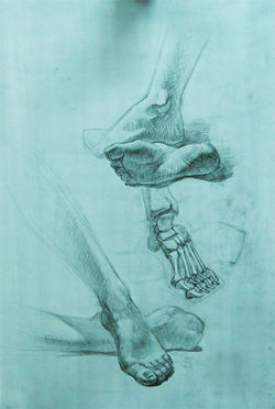 Стопы. Анатомическая зарисовка.