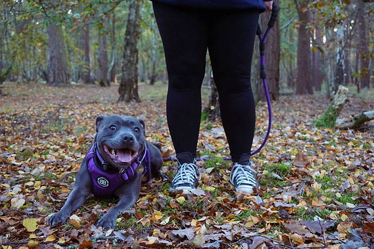 WhatsApp Image 2025-11-04 at 20.10.02_b9fa2443.jpg