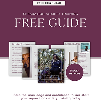 Instagram FREE Guide Post.png