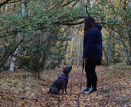 WhatsApp Image 2025-11-10 at 16.55_edite