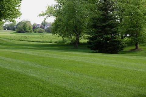 Lawn Maintenance
